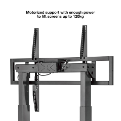 Soporte de Suelo Tooq FSM01-B para TV 55-100'/ hasta 120kg