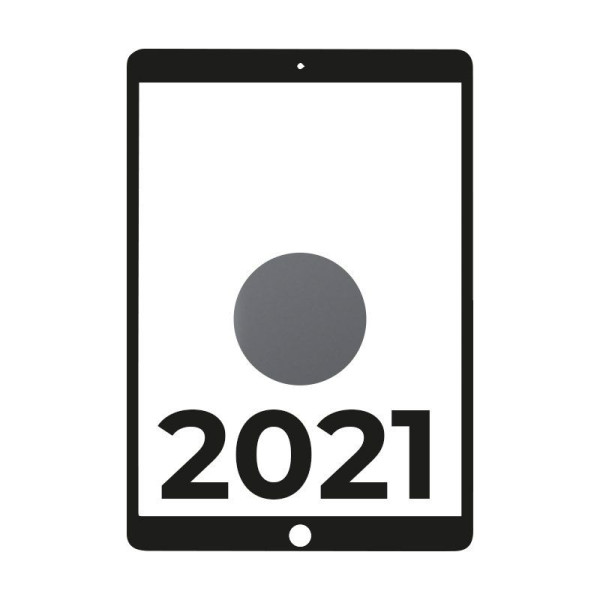 Apple iPad 10.2 2021 9th WiFi/ A13 Bionic/ 256GB/ Gris Espacial - MK2N3TY/A - Imagen 1