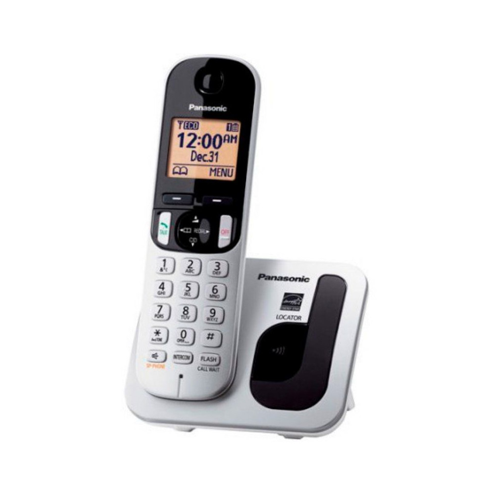Teléfono Inalámbrico Panasonic KX-TGC210SP/ Plata - Imagen 1